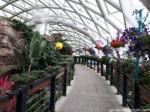 Konya Tropikal Kelebek Bahcesi