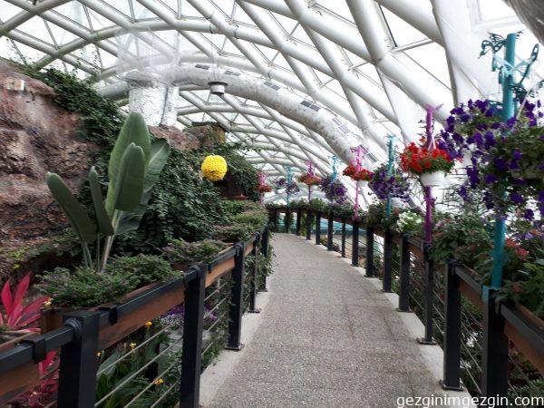 Konya Tropikal Kelebek Bahcesi