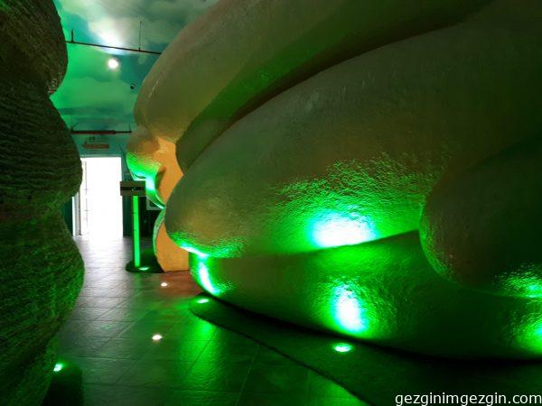 Tropikal Kelebek Bahcesi