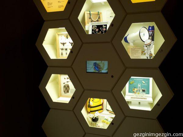 Tropikal Kelebek Bahcesi