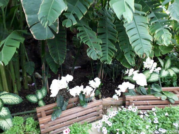 Konya Tropikal Kelebek Bahcesi