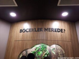 Tropikal Kelebek Bahcesi